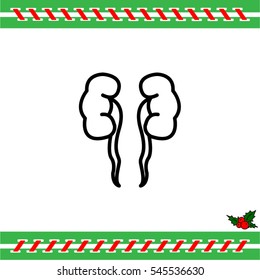 Web line icon. Kidneys