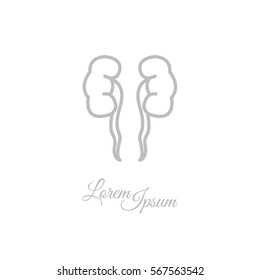 Web line icon. Kidneys