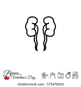 Web line icon. Kidneys