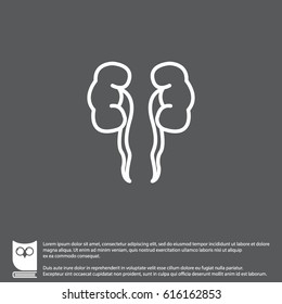 Web line icon. Kidneys