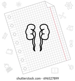 Web line icon. Kidneys