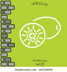 Web line icon. Kiwi