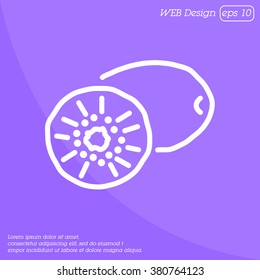 Web line icon. Kiwi