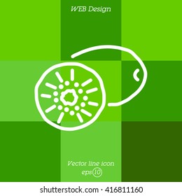 Web line icon. Kiwi