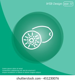 Web line icon. Kiwi