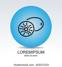 Web line icon. Kiwi