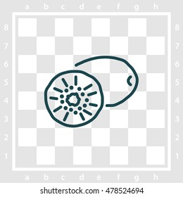 Web line icon. Kiwi