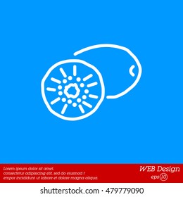 Web line icon. Kiwi