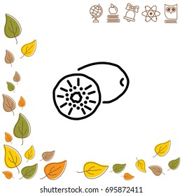 Web line icon. Kiwi