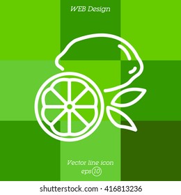 Web line icon. Lemon