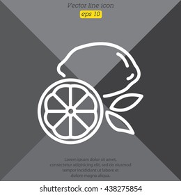Web line icon. Lemon