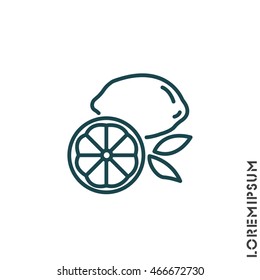 Web line icon. Lemon