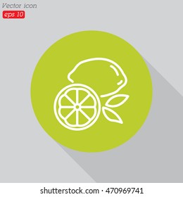 Web line icon. Lemon