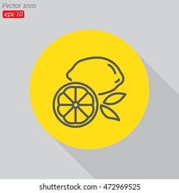 Web line icon. Lemon