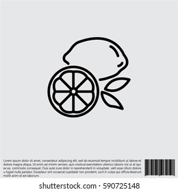 Web line icon. Lemon
