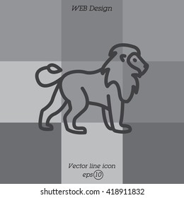 Web line icon. Lion; wild animals