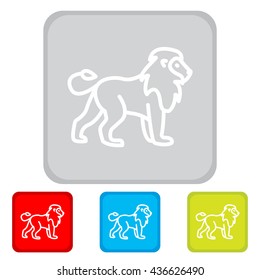 Web line icon. Lion; wild animals