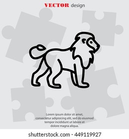Web line icon. Lion; wild animals