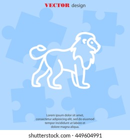 Web line icon. Lion; wild animals