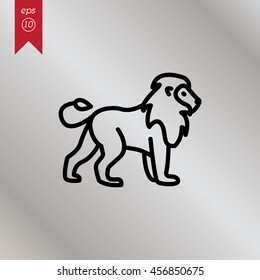 Web line icon. Lion; wild animals