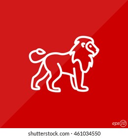 Web line icon. Lion; wild animals