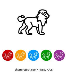 Web line icon. Lion; wild animals