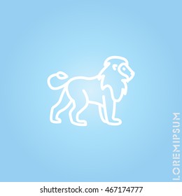 Web line icon. Lion; wild animals