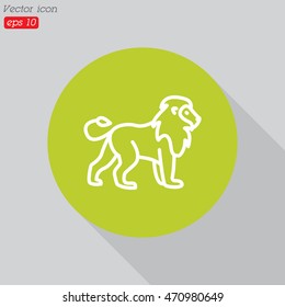 Web line icon. Lion; wild animals
