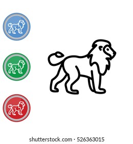 Web line icon. Lion; wild animals