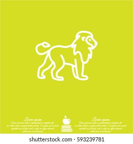 Web line icon. Lion; wild animals