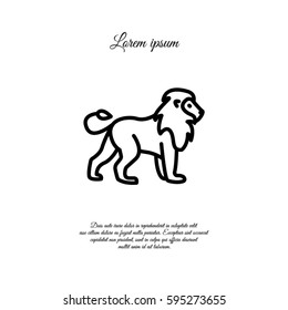 Web line icon. Lion; wild animals