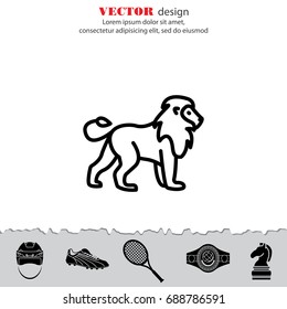 Web line icon. Lion; wild animals