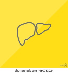 Web line icon. Liver