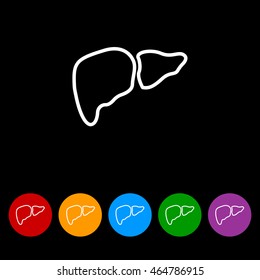 Web line icon. Liver