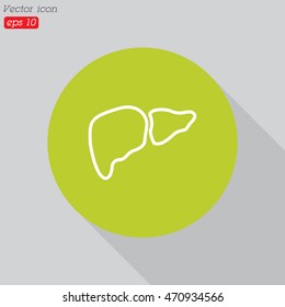 Web line icon. Liver