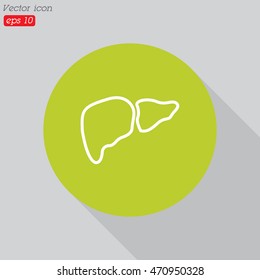 Web line icon. Liver