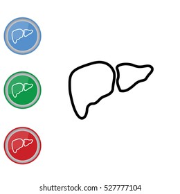 Web line icon. Liver