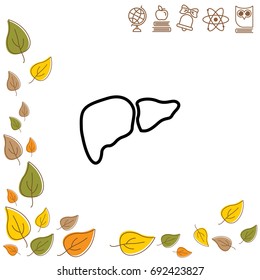 Web line icon. Liver