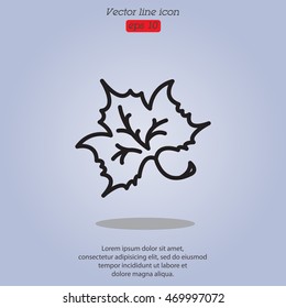 Web line icon. Maple leaf, tree leaf
