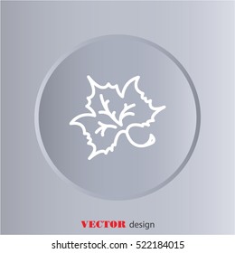 Web line icon. Maple leaf, tree leaf