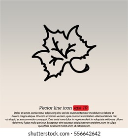 Web line icon. Maple leaf, tree leaf