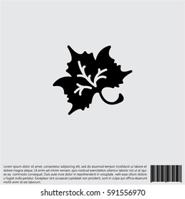 Web line icon. Maple leaf, tree leaf