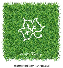 Web line icon. Maple leaf, tree leaf