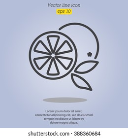 Web line icon. Orange