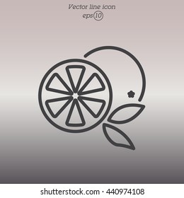 Web line icon. Orange