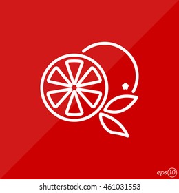 Web line icon. Orange