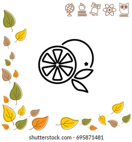 Web line icon. Orange