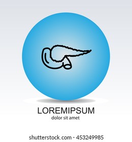 Web line icon. Pancreas