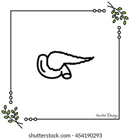 Web line icon. Pancreas