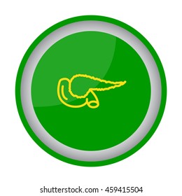 Web line icon. Pancreas